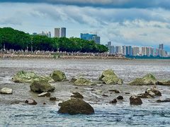-深圳湾公园(南山区)