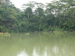 -武吉知马自然保护区