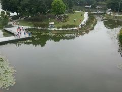 -东莞植物园