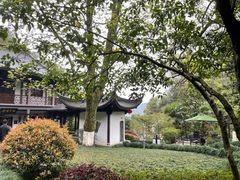 -十八棵（老龙井）御茶园(老龙井店)