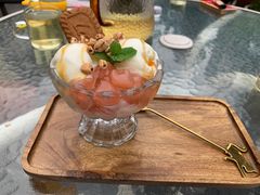 -吉丁鸟咖·异宠·寄养