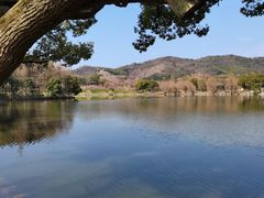 -慈城古县城景区
