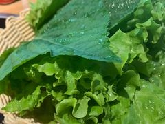 -小米烤肉·和牛原切-创意韩料(东关店)