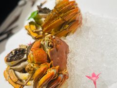 -蘇锦宴·淮扬菜烤鸭·小院(三元桥霄云路店)