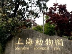 -港汇恒隆广场