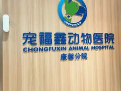-宠福鑫康馨动物医院·骨科·眼科