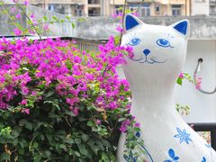 -猫咪博物馆(顶澳仔猫街店)