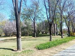 -燕郊植物园