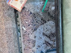 -轩记海鲜餐厅·四十五年老字号·经典粤菜(西区彩虹店)