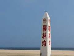 -东郊椰林