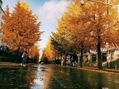 -东北大学(南湖校区)