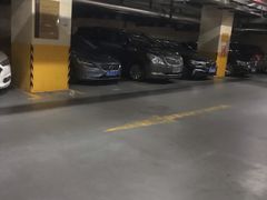 -翡翠36餐厅(浦东香格里拉店)