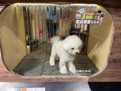 -宠物世家(仲盛世界商城店)
