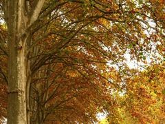 -河南省黄河迎宾馆