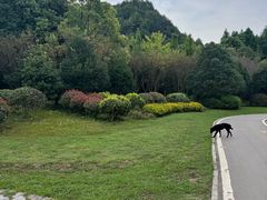 -贵阳市花溪国家城市湿地公园