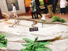 -自贡恐龙博物馆