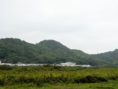 -大澳
