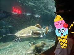 -太平洋海底世界