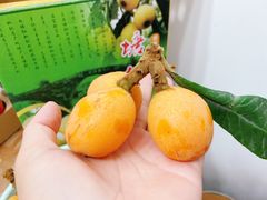 -塘栖枇杷特色园区