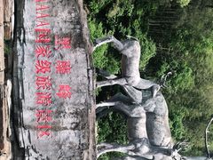 -长沙黑麋峰国家森林公园