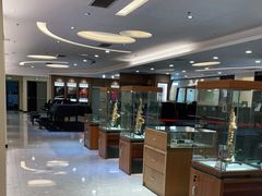 -知音艺术教育培训·钢琴培训·音乐培训(河西金鹰世界校区)