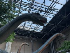 -国家自然博物馆