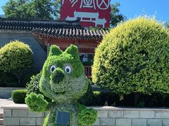 -阳台山自然风景区