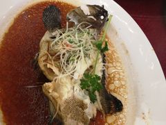 -龙悦湾酒家·八阵鱼生·渔人码头店