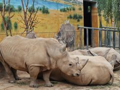 -西安秦岭野生动物园