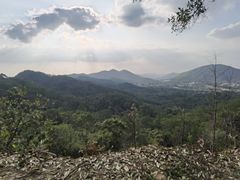 -风云岭森林公园