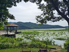 -东钱湖旅游度假区