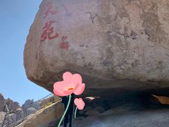 -崂山仰口游览区