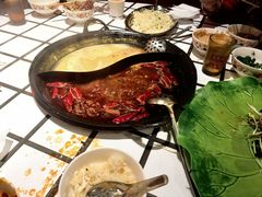 -朱光玉火锅馆(正弘城店)