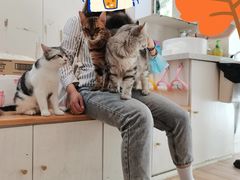 -李小姐の猫咖啡馆(五角场店)