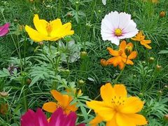 -艾溪湖湿地公园