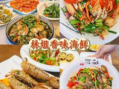 -椰梦长廊
