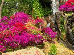 -沂蒙云瀑洞天景区