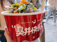 -黑色经典臭豆腐·湖南特产(坡子街店)