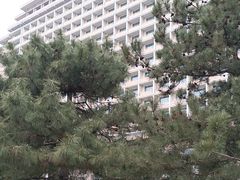 -北京饭店