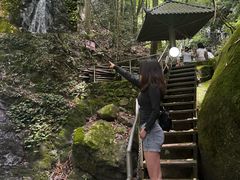 -大围山国家森林公园