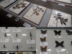 -四川大学博物馆