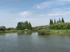 -沙家浜风景区