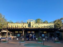 -奥兰多迪士尼动物王国乐园