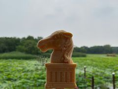 -颐和园