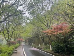 -长谷洞天