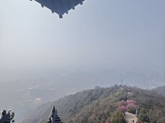 -杭州半山国家森林公园