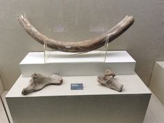 -呼伦贝尔民族博物馆