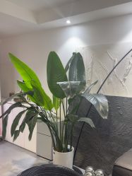 -春田皮肤管理中心品牌旗舰店