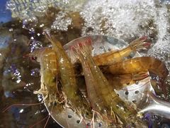 -盒马鲜生(岭南新世界店)
