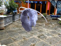 -璞真扎染博物馆